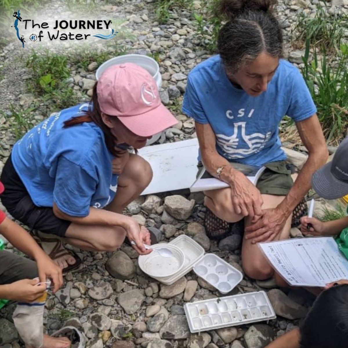 Journey of Water - Biomonitoring Fun! on Six Mile Creek at Plain Street