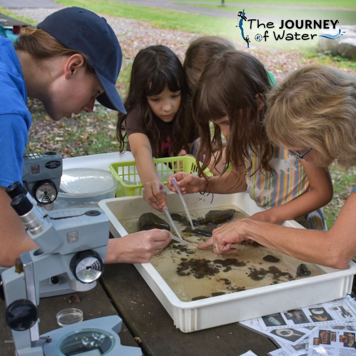 Journey of Water - Stream Biomonitoring Fun! at Buttermilk Falls State Park