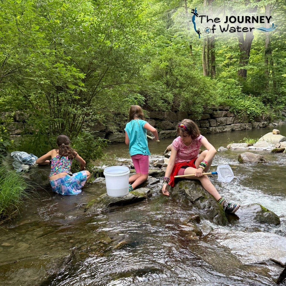 Journey of Water - Biomonitoring Fun! at Upper Robert H Treman State Park