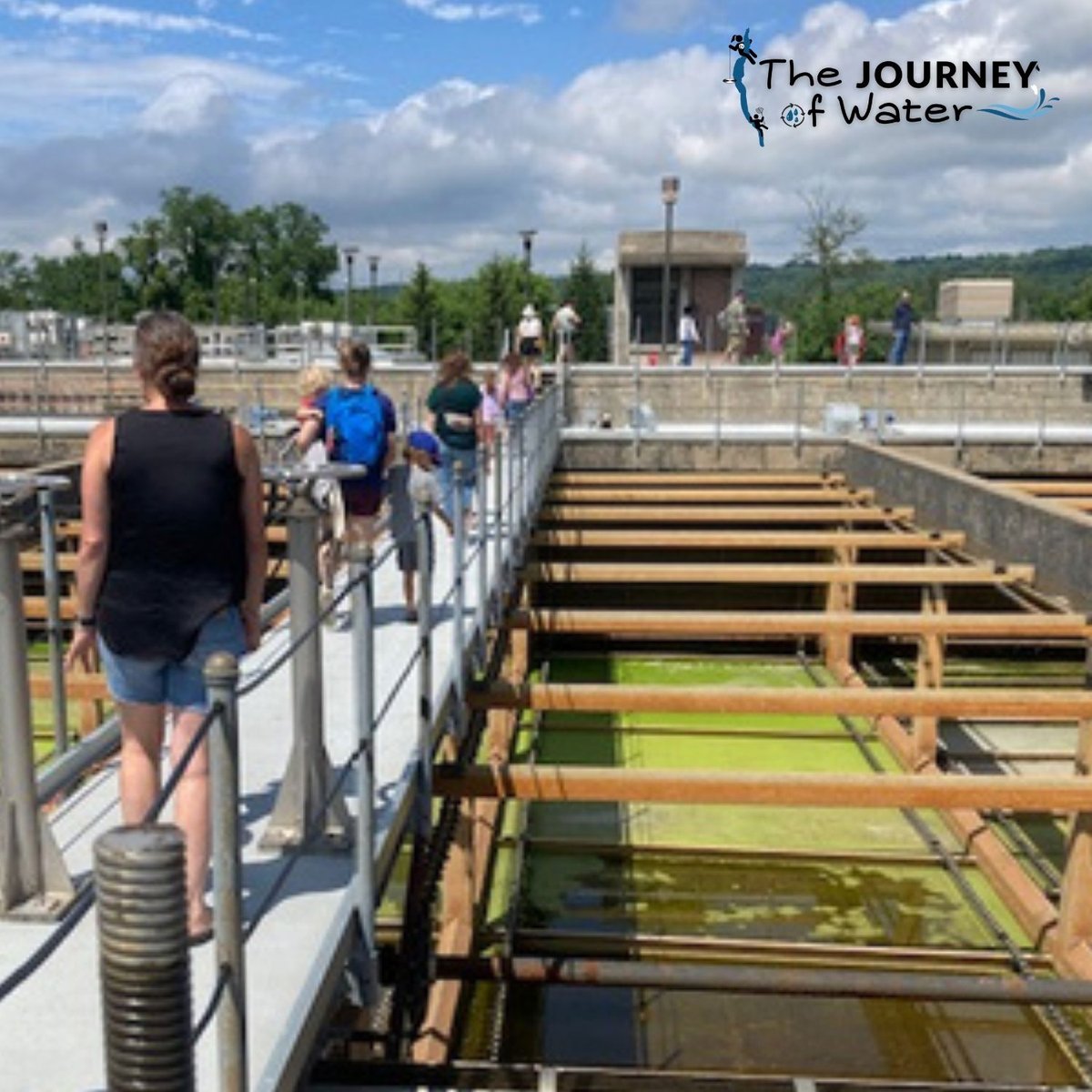 Journey of Water - Down the Drain and Into the Lake