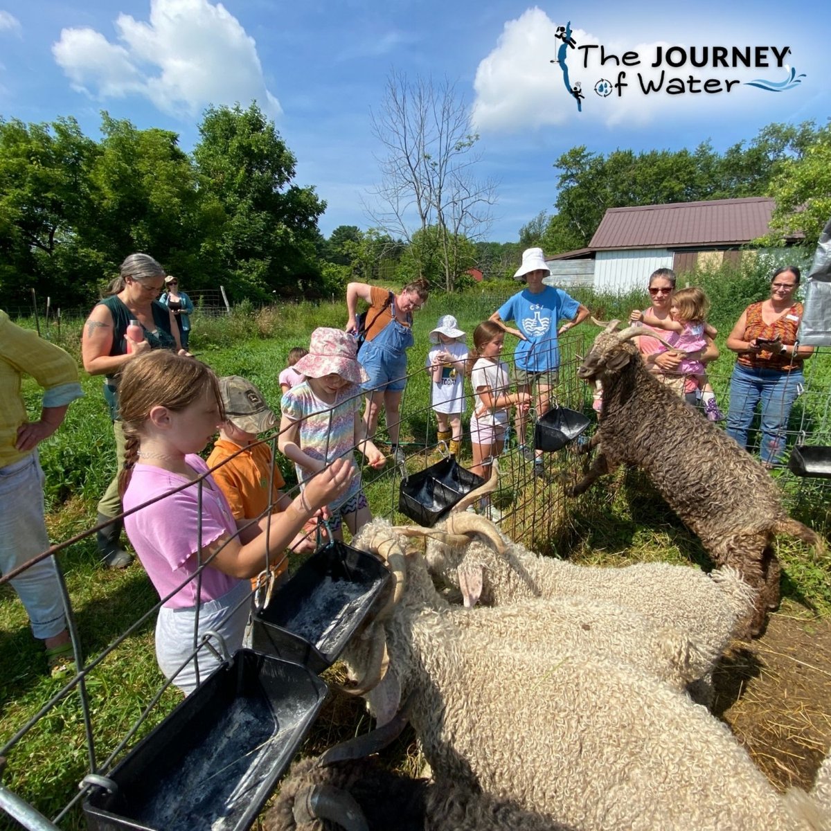 Journey of Water - Finger Lakes Farm Tour
