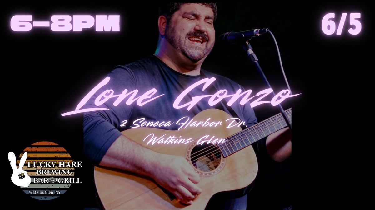 Live music by Lone Gonzo