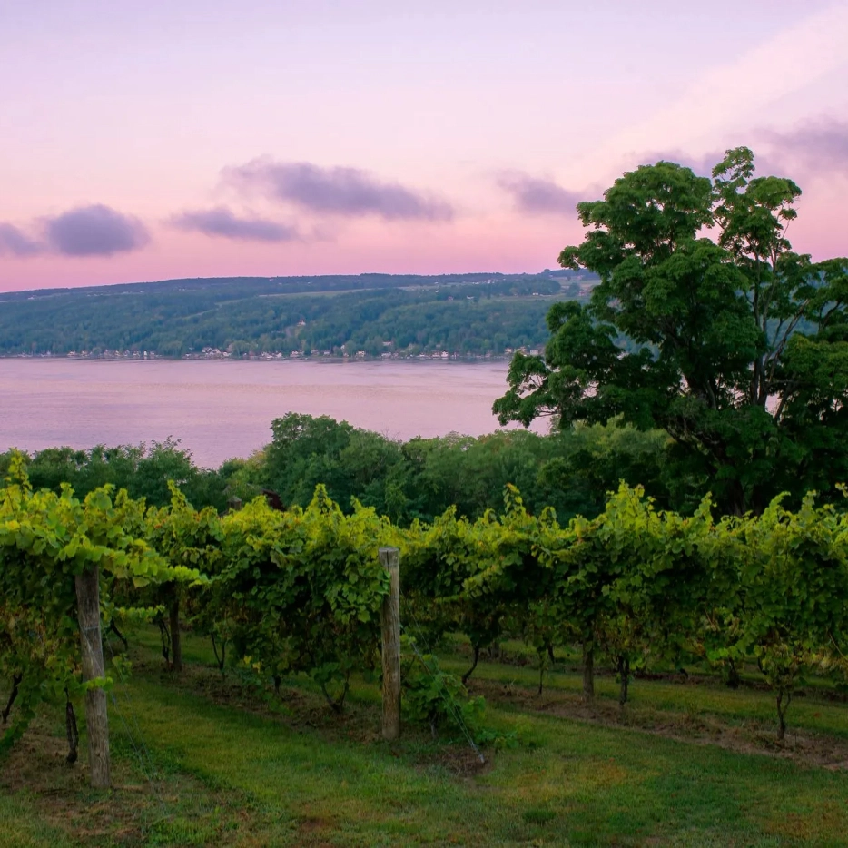 Sips & Succulents on the Keuka Lake Wine Trail